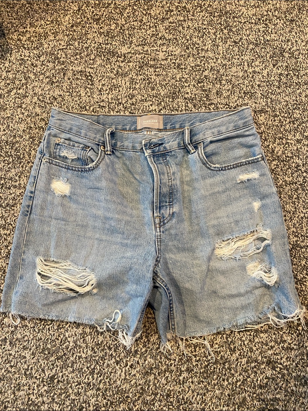 Everlane Distressed Denim Shorts